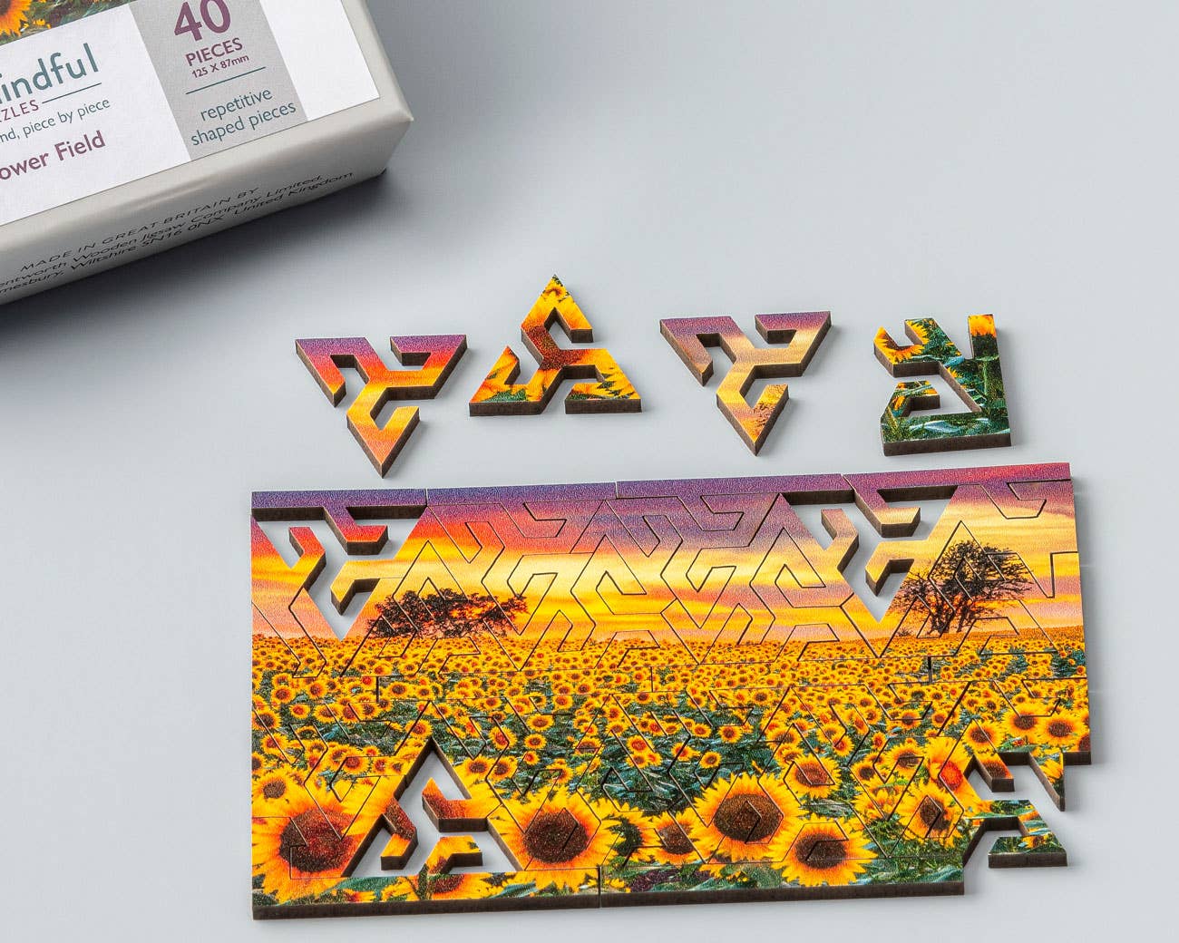 Sunflower Field