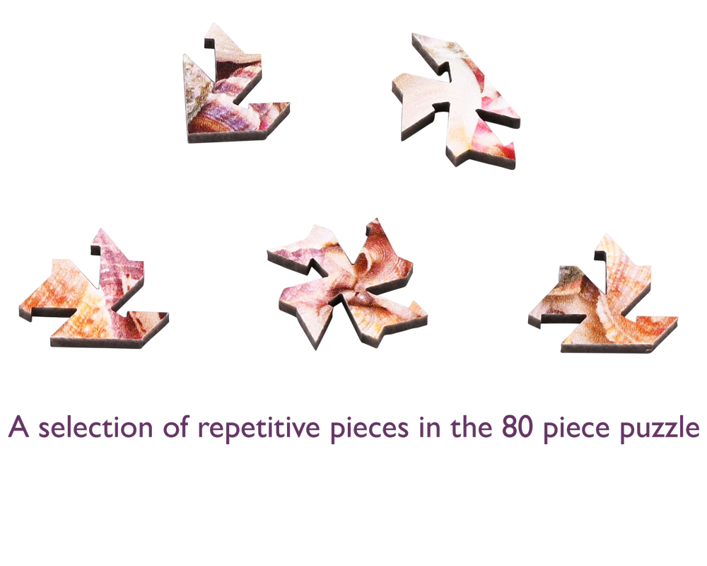 Seashells Wooden Mini Extra Difficult Puzzle