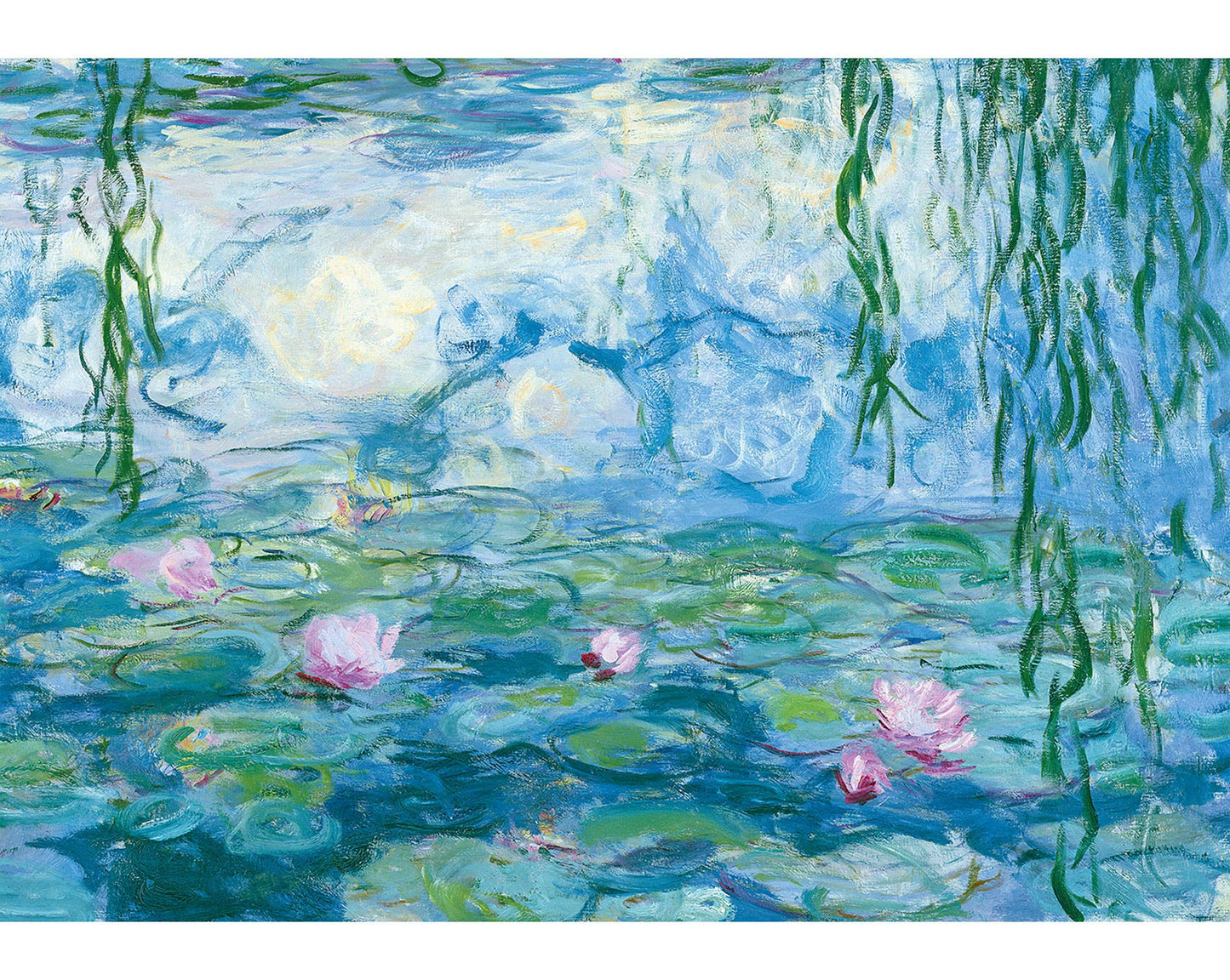 Waterlilies