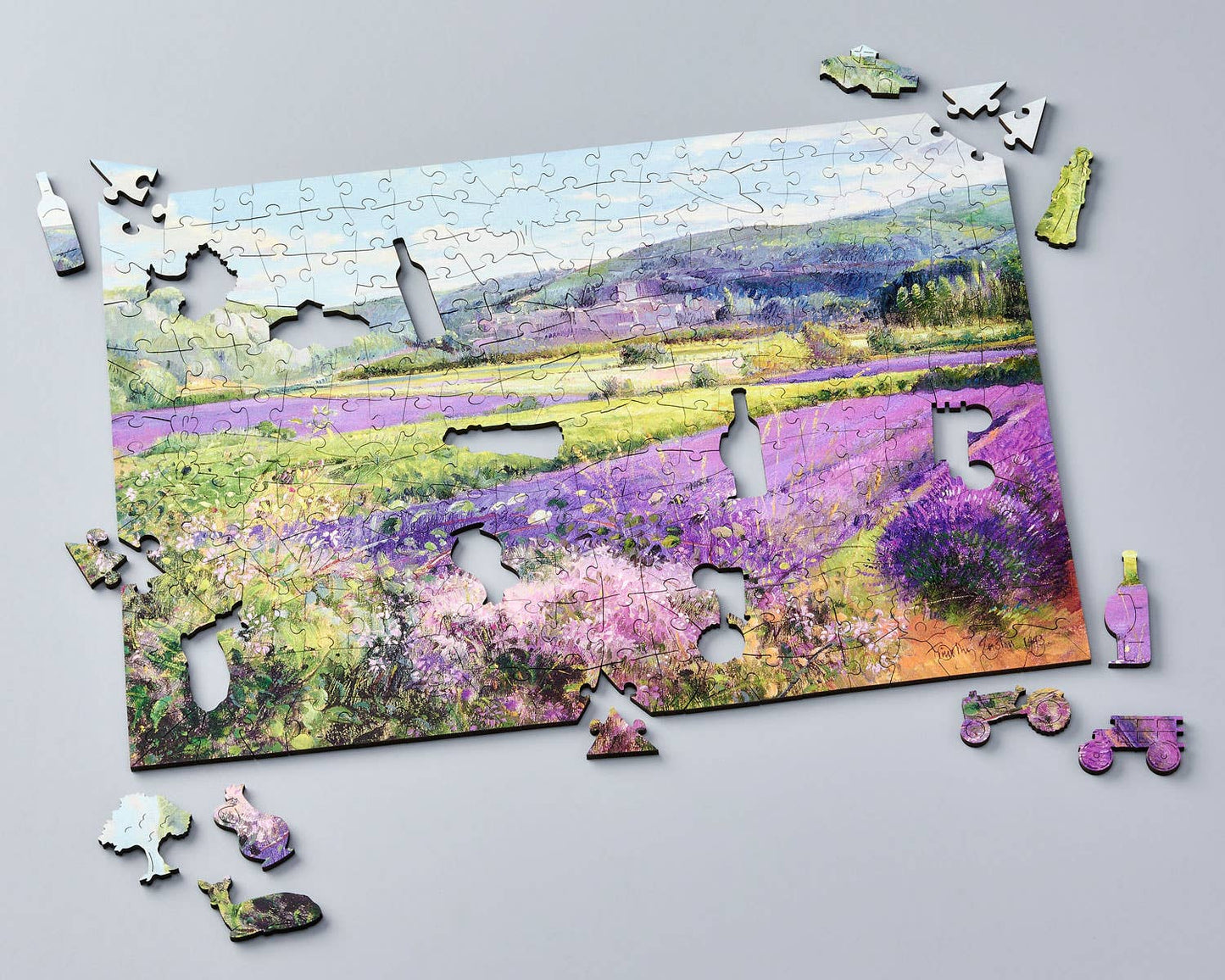 Lavender Fields in Provence