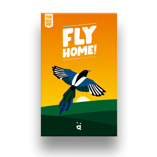 Fly Home!