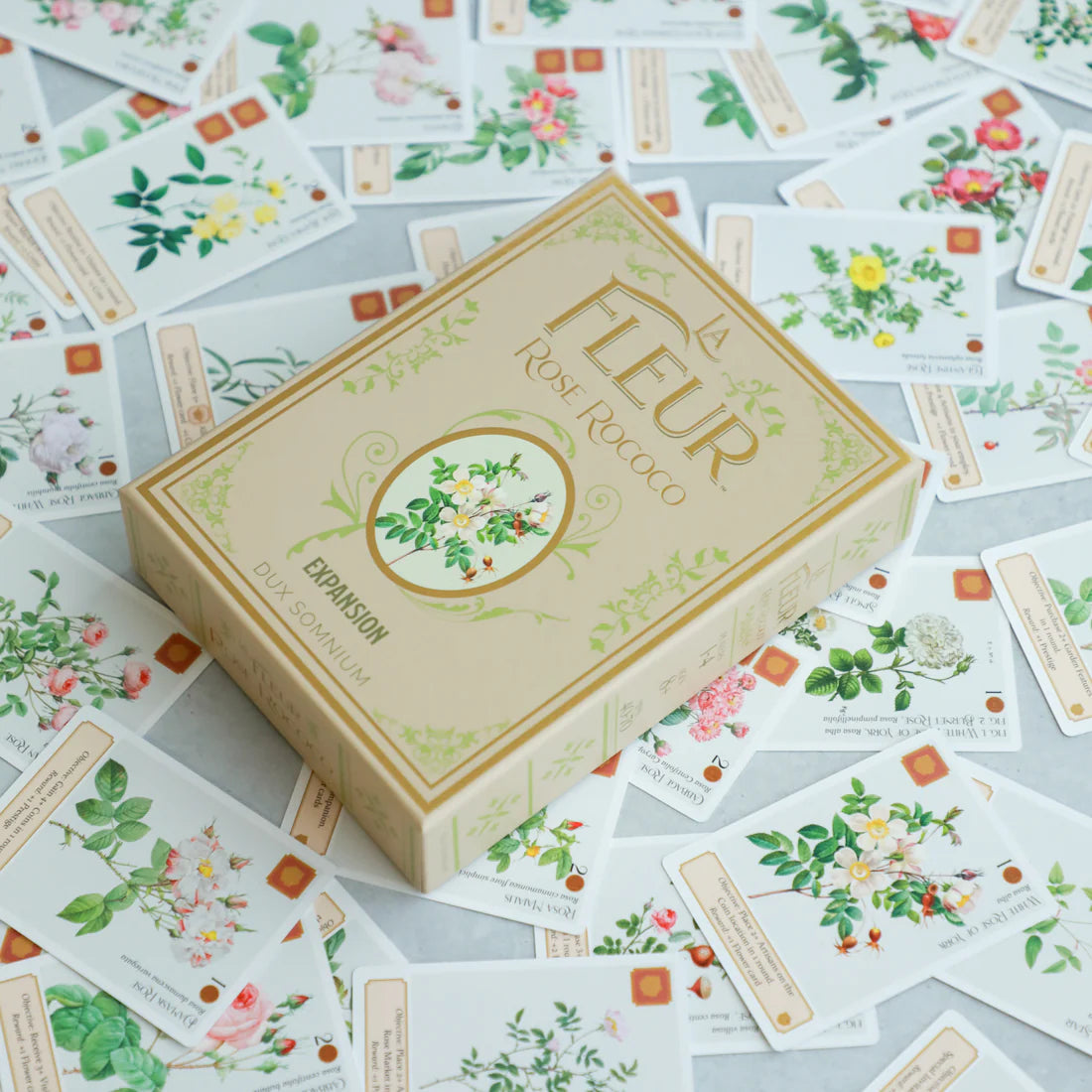 La Fleur: Rose Rococo