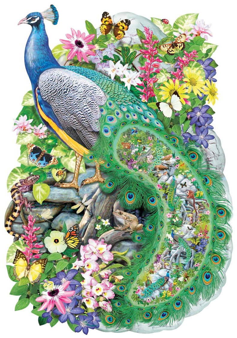 Peacock of India