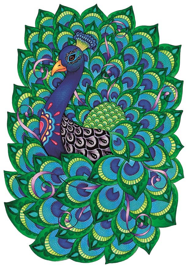 Proud Peacock