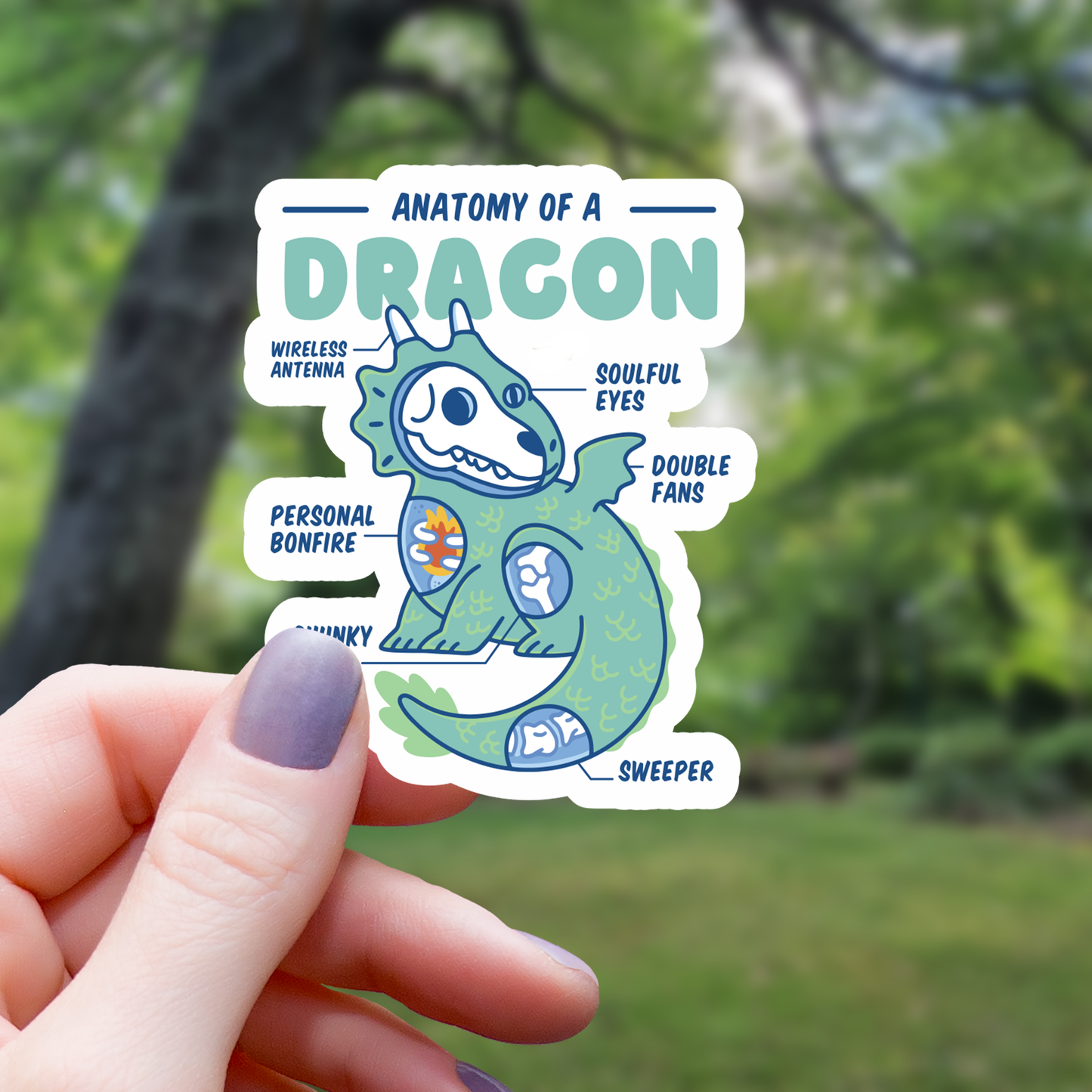 Anatomy of A Dragon Sticker - 3"