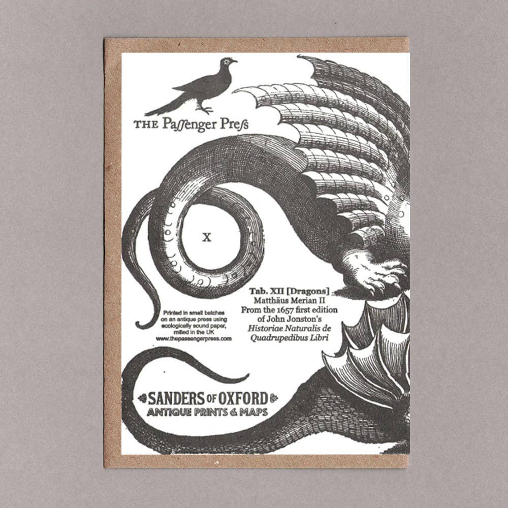 Dragons Black Greetings Card, Eco Friendly