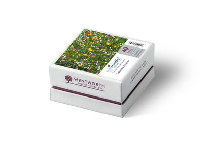 Colourful Meadow