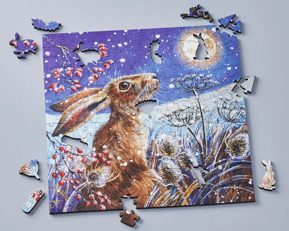 Moon Gazing Hare