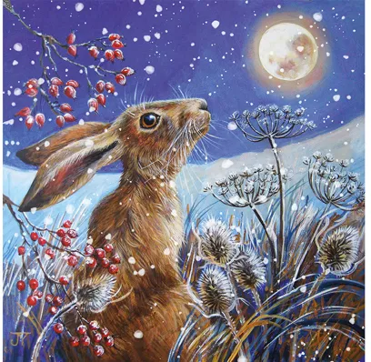 Moon Gazing Hare