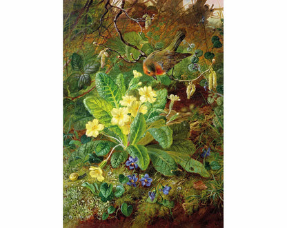 Primrose and Robin