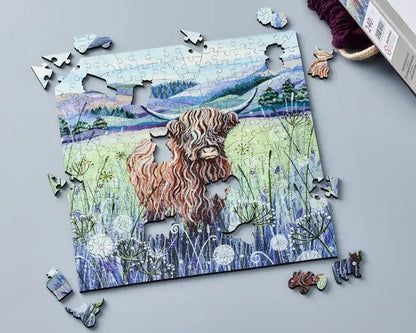 Scottish Cow
