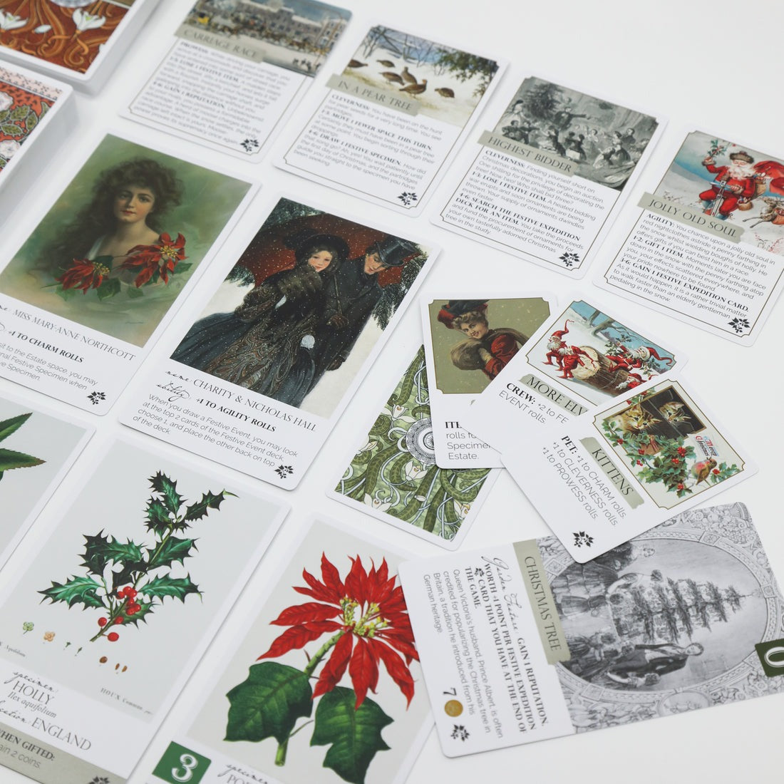 Botany: Festive Foliage