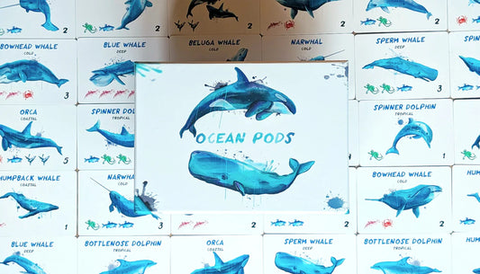 Ocean Pods