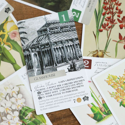 Botany: Orchid Obsession