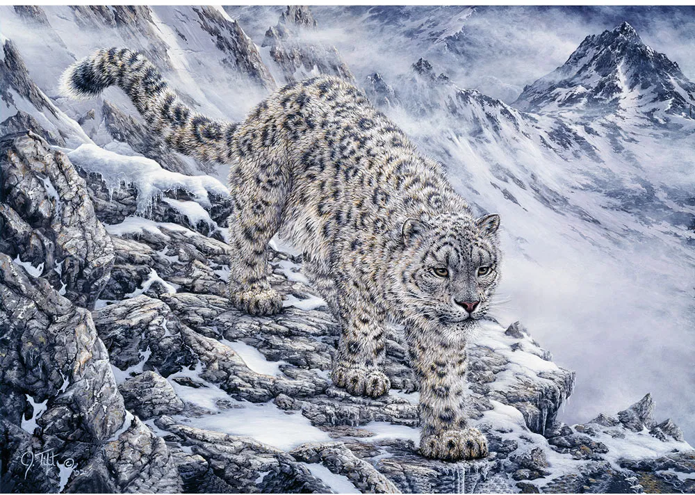 Snow Leopard
