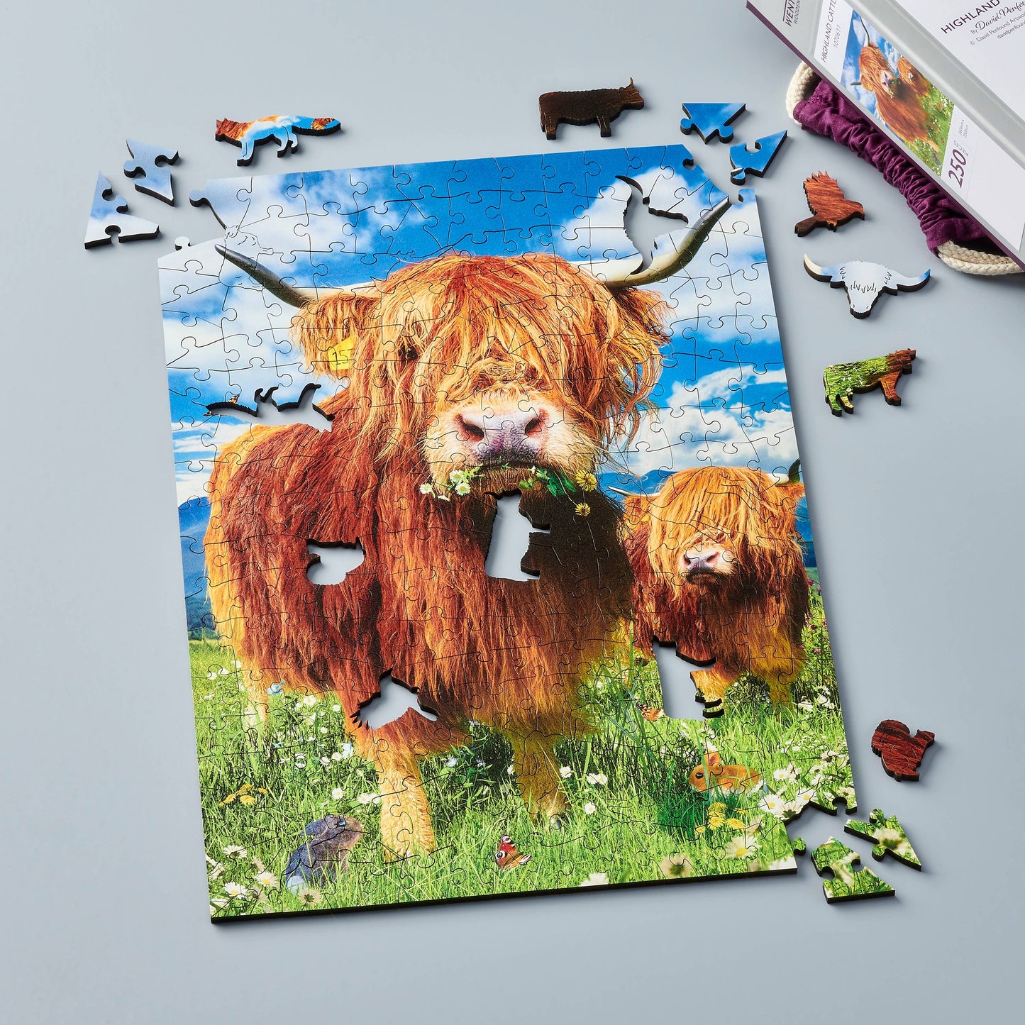 Highland Cattle