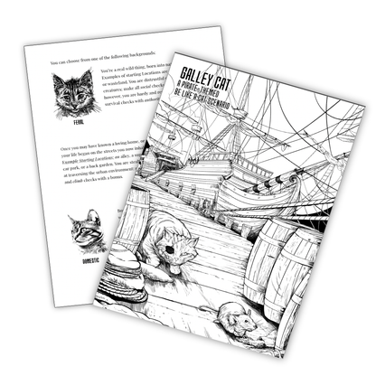 Be Like a Cat 2nd edition - a solo /two player RPG